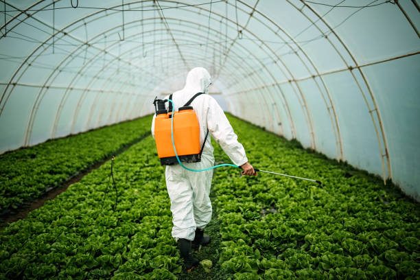 Best Insect Control  in Clover, SC