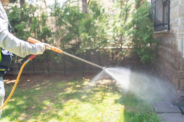 Best Pest Prevention Services  in Clover, SC