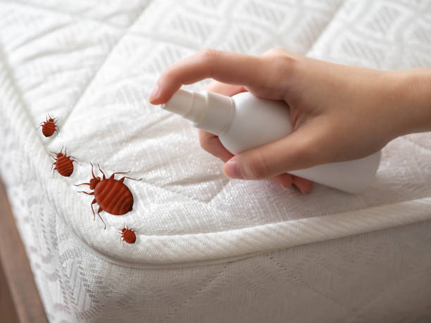 Best Wildlife Control Services  in Clover, SC
